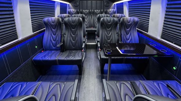 20 passenger sprinter van interior mesquite